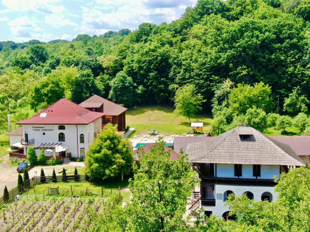 Отель Casa Cartianu Тыргу-Жиу Экстерьер фото